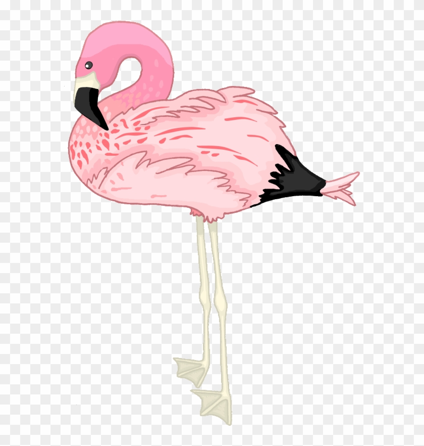 Flamingo By Zenafluff On Deviantart - Flamingo Transparent #970523