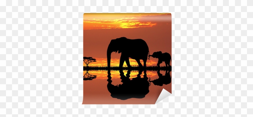 Elephants #970532