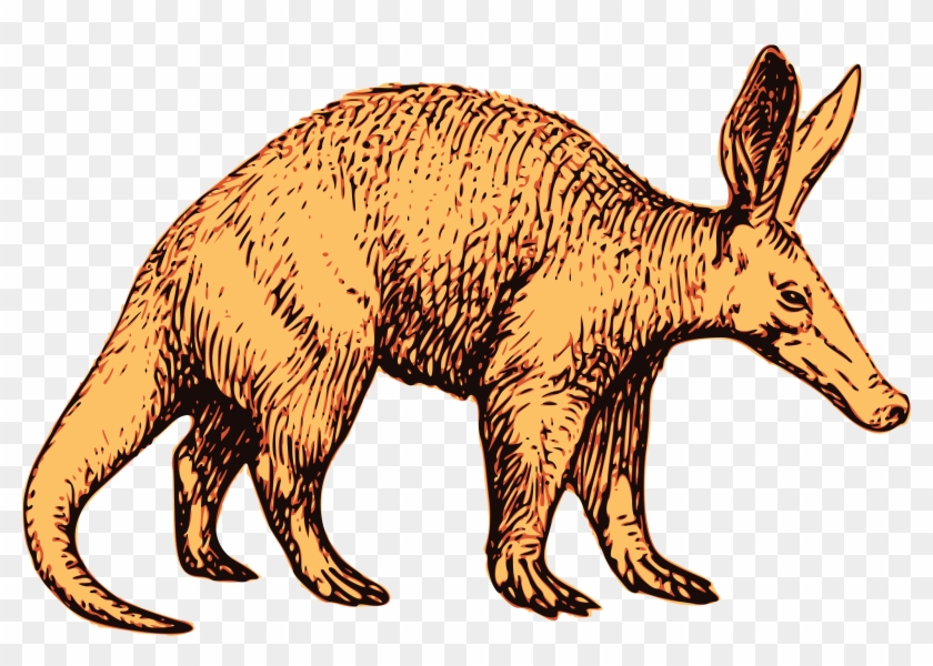 Free Clipart Of A Profiled Aardvark Wildlife - Boba Guys #970812