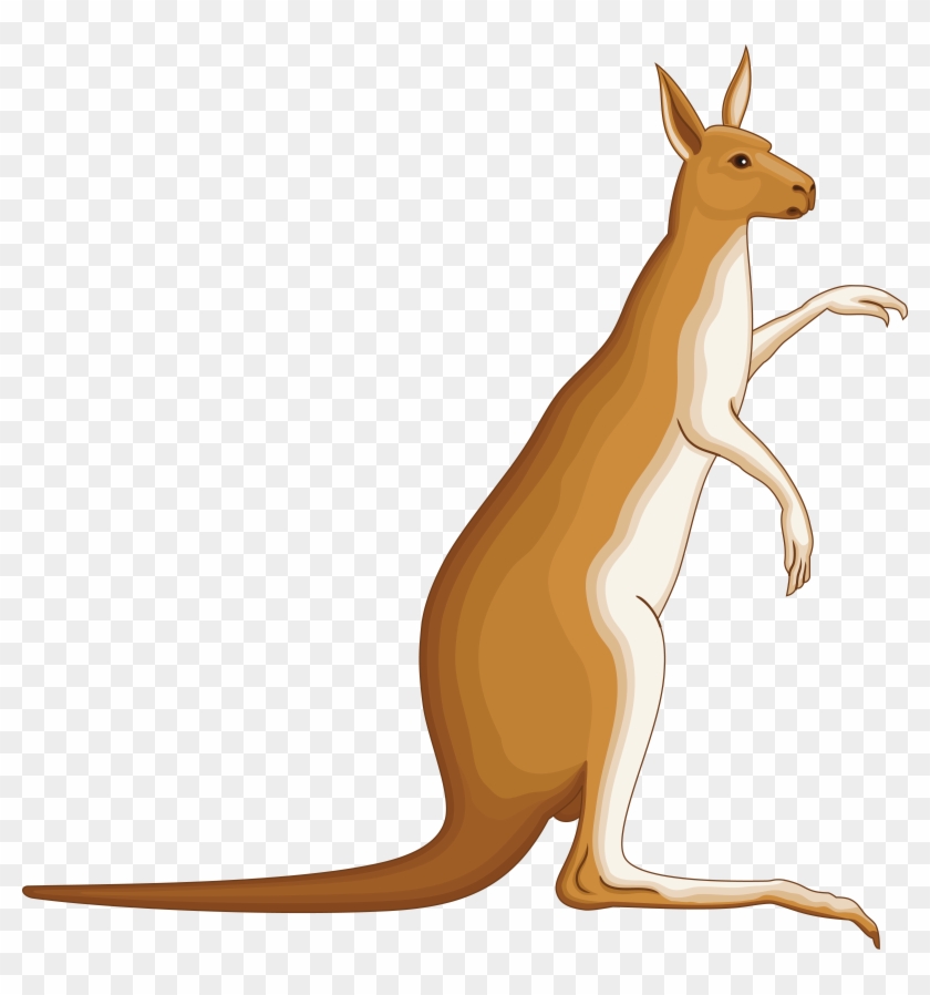 Free Clipart Of A Kangaroo - Coat Of Arms Kangaroo #970838