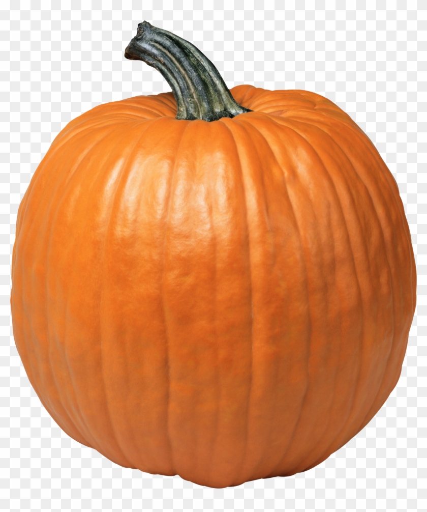 Pumpkin Png Image - Pumpkin Png #970975