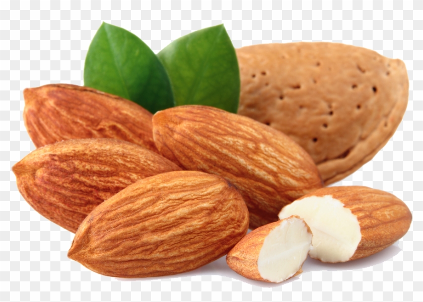 Almond Free Download Png - Almond Png #970984