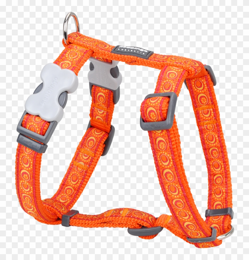 Red Dingo Cosmos Orange M-méretben Hám - Red Dingo Cosmos Orange Small Dog Harness #971033