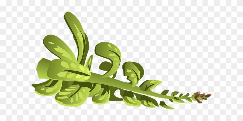 Plant, Green, Leaves, Branch, Nature - Clip Art #971077