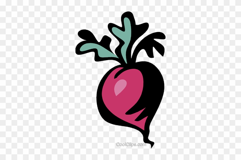 Radish Royalty Free Vector Clip Art Illustration - Radish Royalty Free Vector Clip Art Illustration #971103