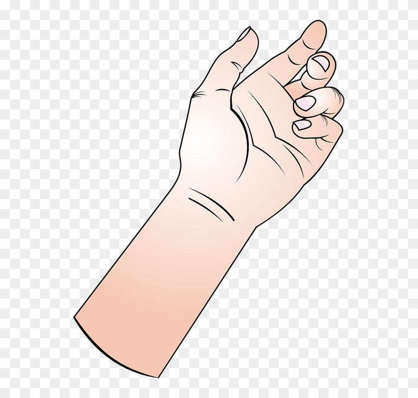 Collection Of Arm Clip Art - Cartoon Forearm #971336