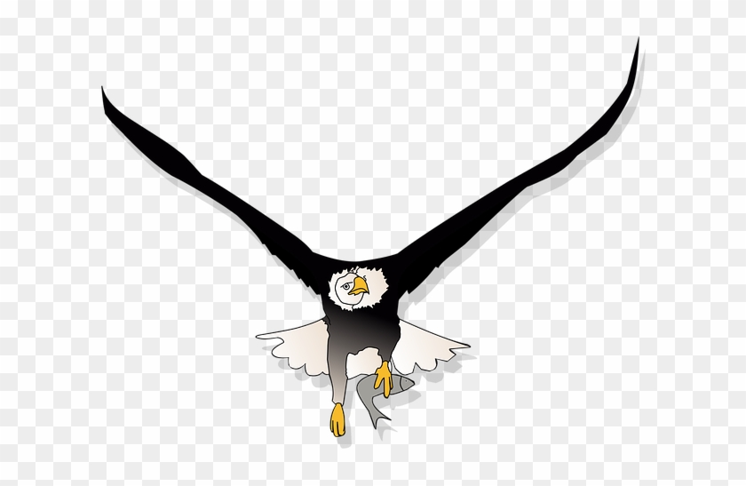 Bald Eagle #971419