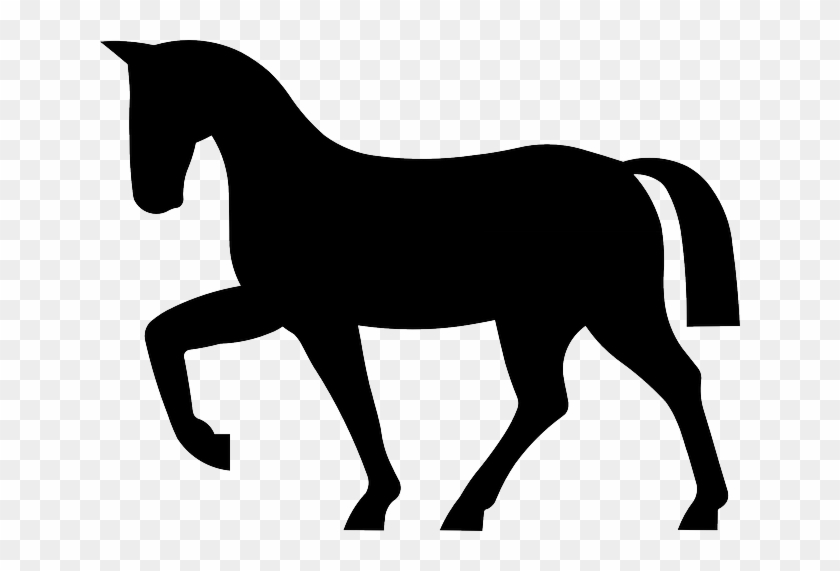 Mammal Horse, Riding, Animal, Mammal - Horse Icon #971686