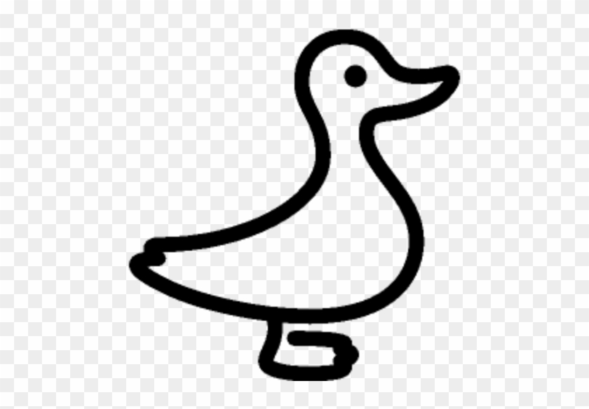 Duck Icon #971899
