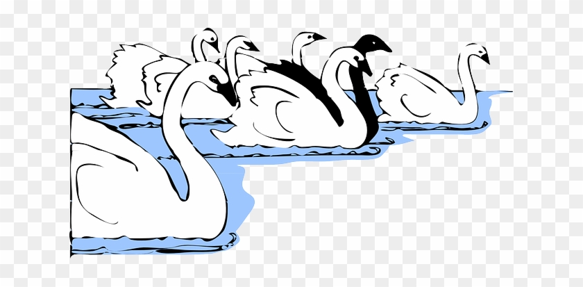 Black, White, Birds, Bird, Swimming, Wings, Swan - 天鹅 矢量 图 #971902