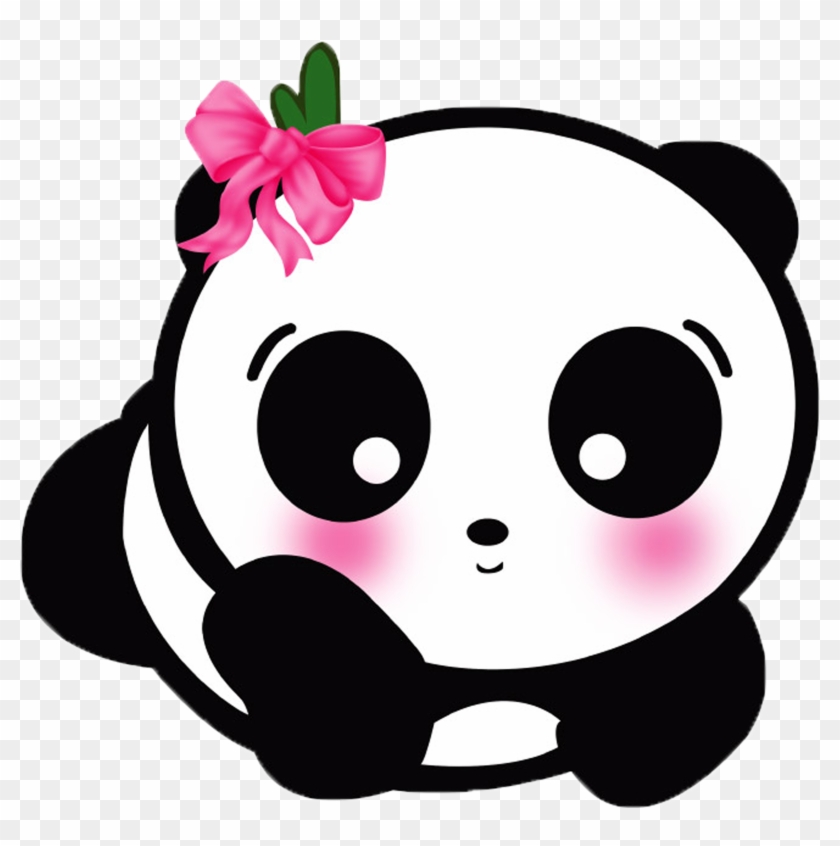 Giant Panda Cute Panda Cuteness Android Application - Cute Panda Cartoon Png #972052