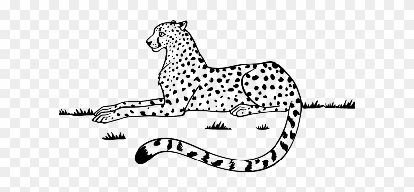 Animales Salvajes - Number Coloring Pages Cheetah #972130