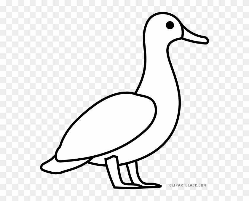 Duck Outline Animal Free Black White Clipart Images - Line Art #972257