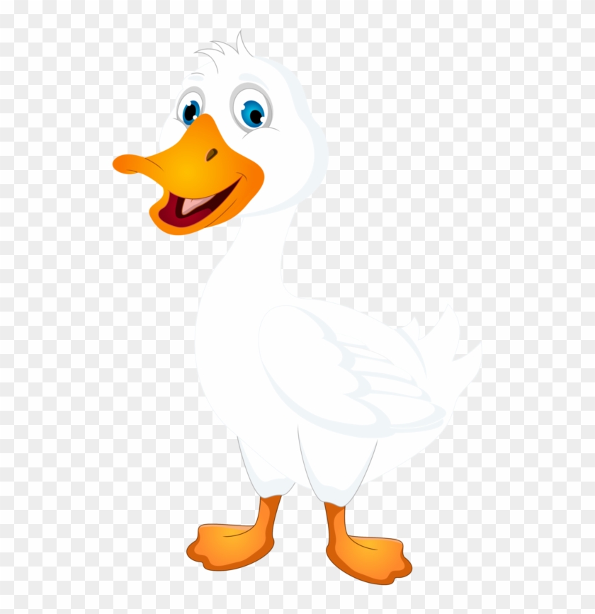 Pictures Of Duck Clipart Outline - White Duck Cartoon - Free Transparent  PNG Clipart Images Download
