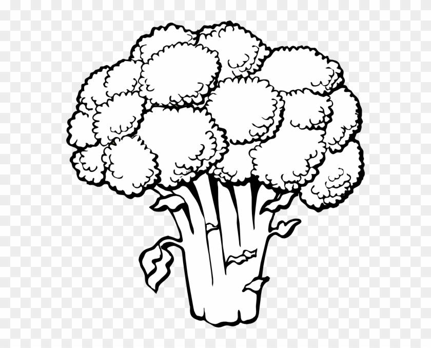 Popeye Clipart - Lettuce Clipart Black And White #972636