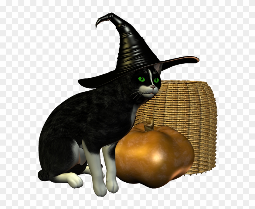 Halloween Cats - Black Cat #973021