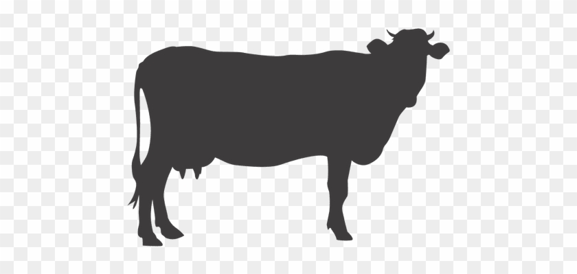 Cow Standing Silhouette Transparent Png - Beef Cow Silhouette #973262
