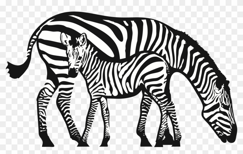 Zebra Clipart Mother And Baby - Contrast Images For Baby #973318