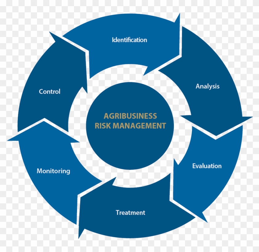 The End-product Is A Risk Management Plan In Which - Microsoft Powerpoint #973848