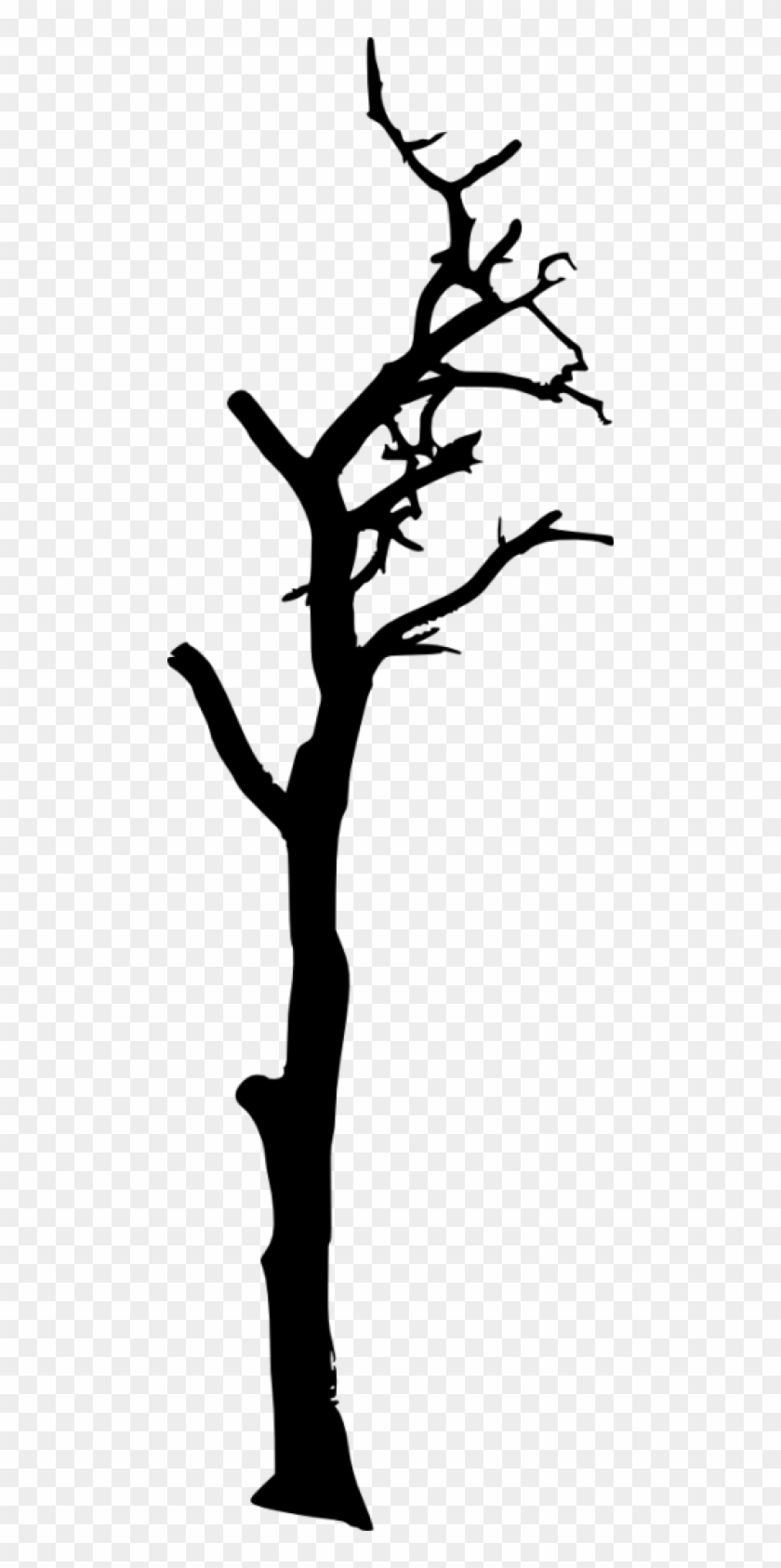 Free Png Dead Tree Silhouette Png Images Transparent - Portable Network Graphics #973910