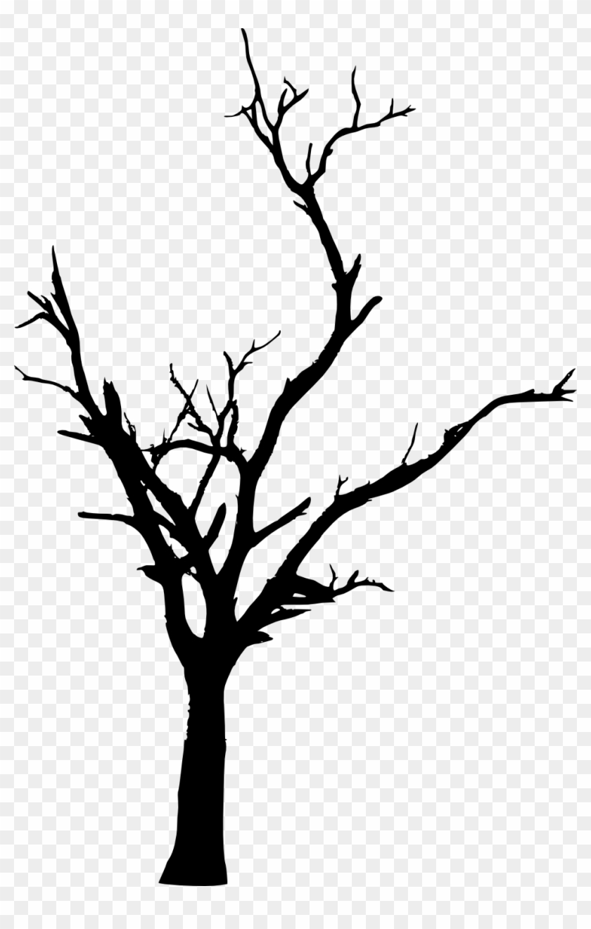 Tree Woody Plant Branch Twig Clip Art - Dead Tree Transparent #973915