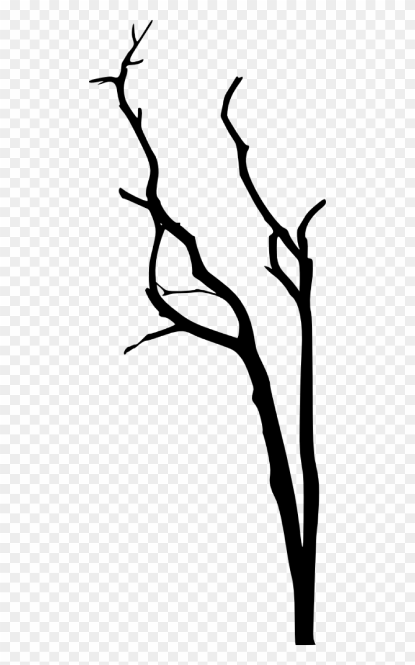 Free Png Dead Tree Silhouette Png Images Transparent - Portable Network Graphics #973917