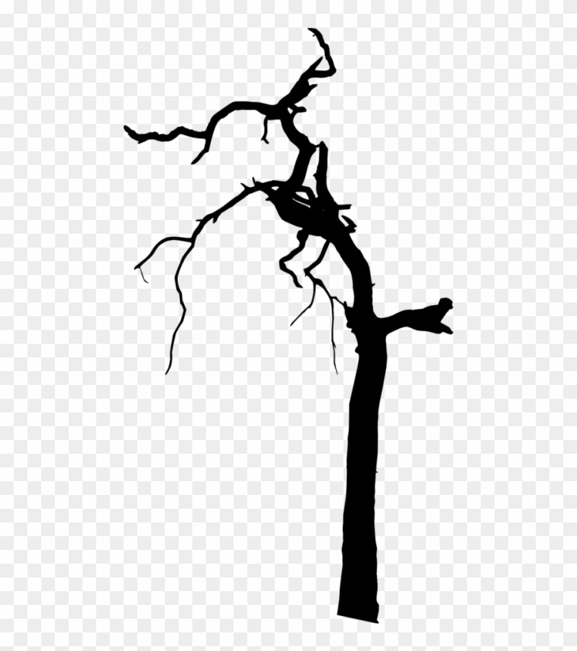 Free Png Dead Tree Silhouette Png Images Transparent - Portable Network Graphics #973919