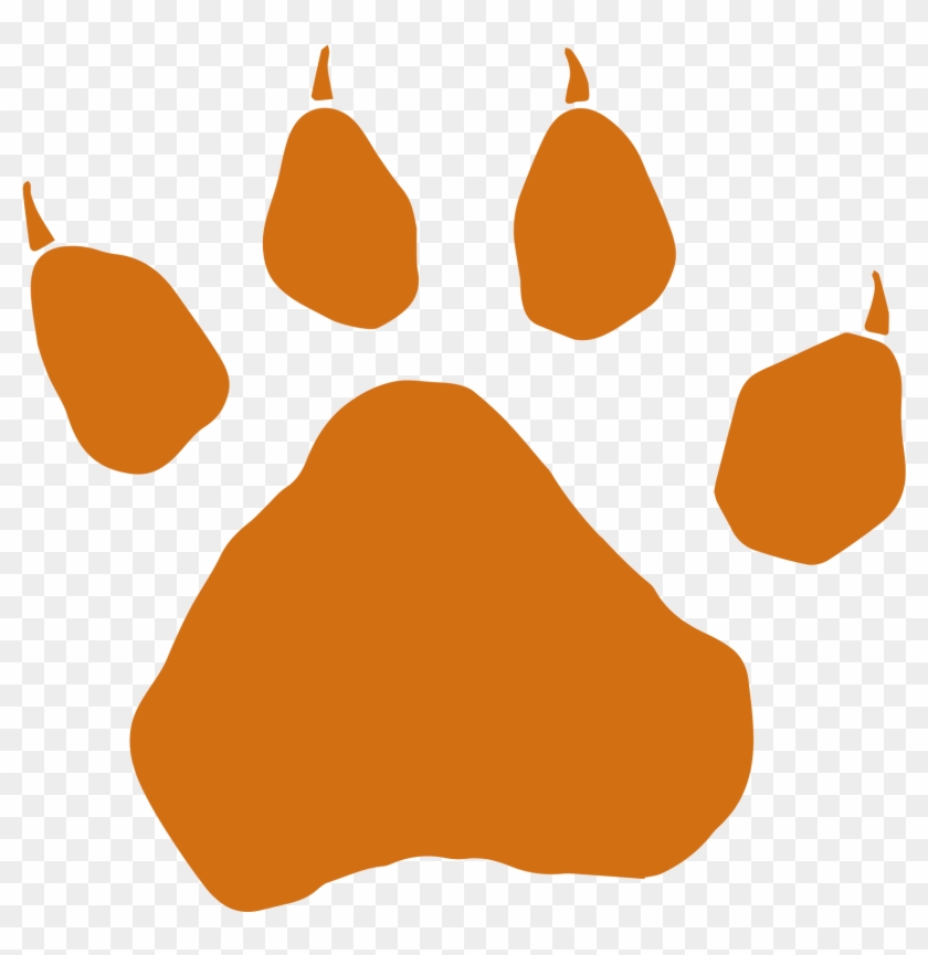 Lion Paw - Dog Paw Drawing #974200