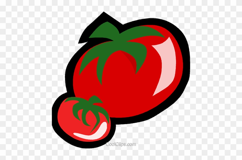 Tomate Livre De Direitos Vetores Clip Art Ilustração - Taller De Cocina #974230