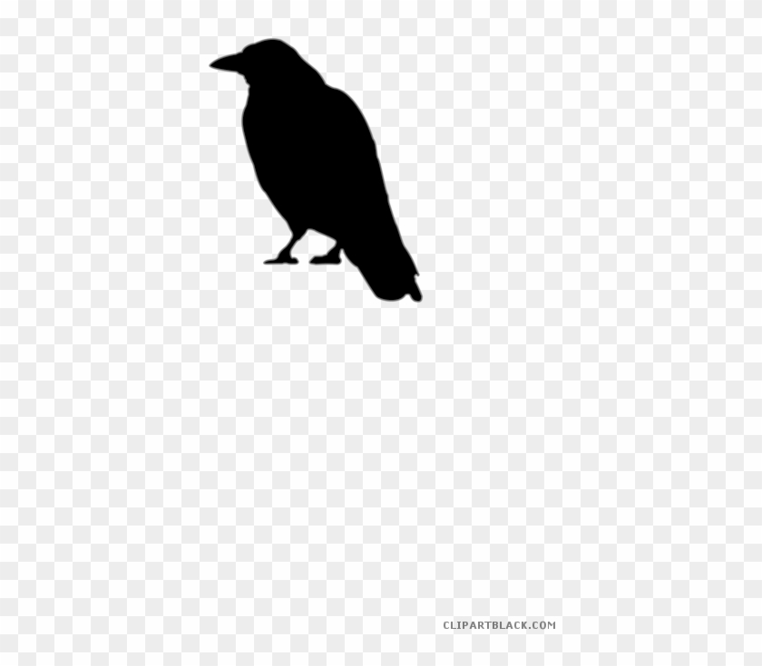 Crow Animal Free Black White Clipart Images Clipartblack - Halloween Crow Cut Out #974316