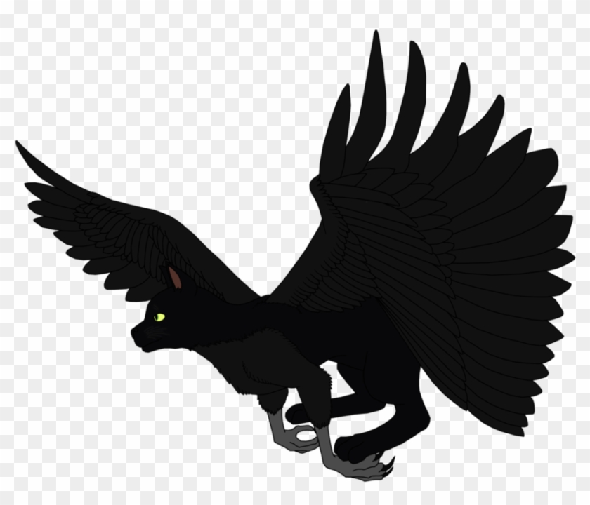 Cat Crow By Hollybecker - Andean Condor #974321