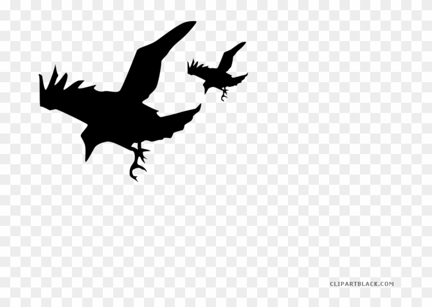 Crow Silhouette Animal Free Black White Clipart Images - Diving Raven Silhouette #974334