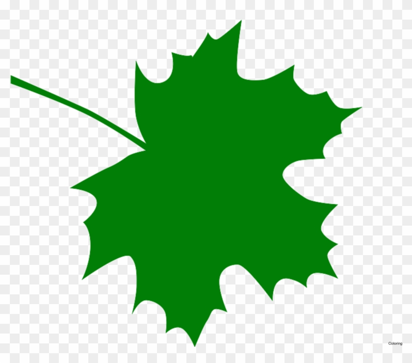 Green Leaves Clipart Clip Art Green - Maple Leaf Clipart Free #974341