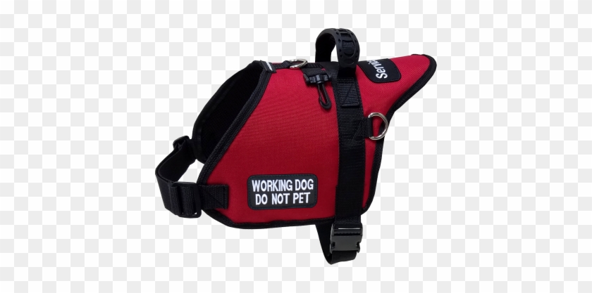 Com Padded Harness Service Dog - Service Dog Vest #974345