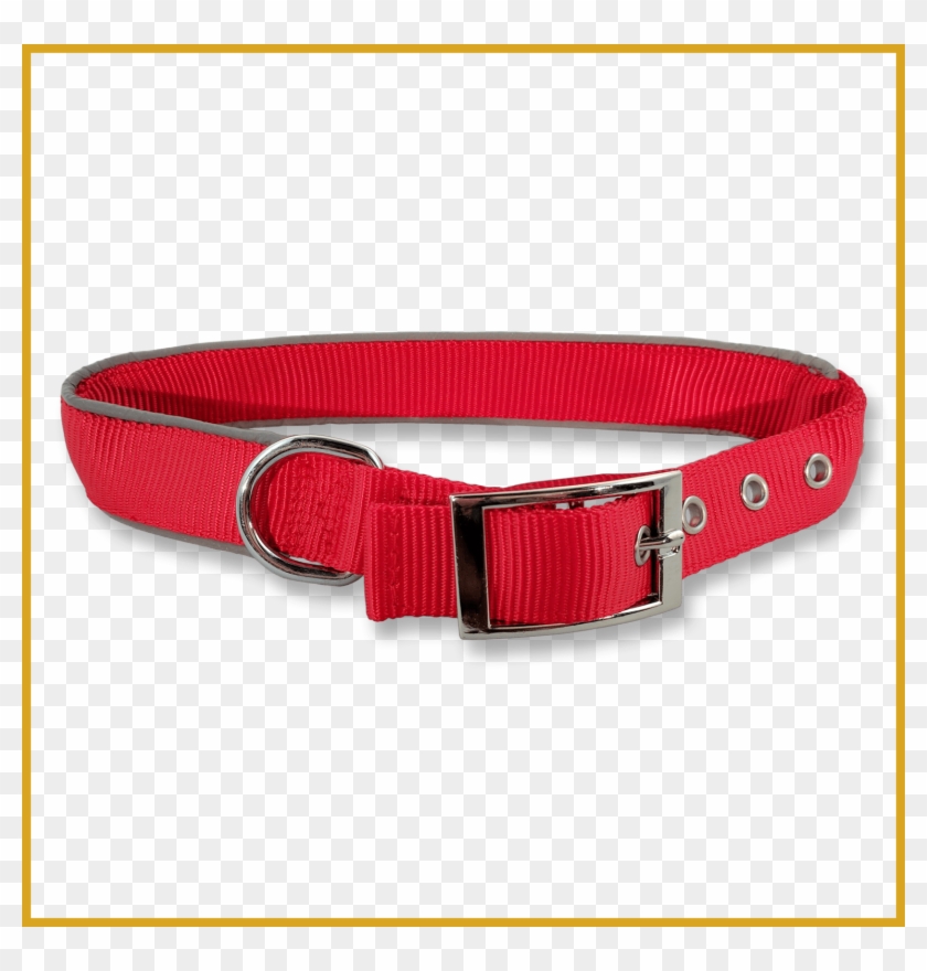 Best Service Dog Collar Properly Identify Your A Pict - Dog Collar #974346