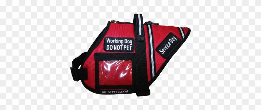 I Need This For Diesel And Nova- But Without The Service - Fake Service Dog Vests #974353