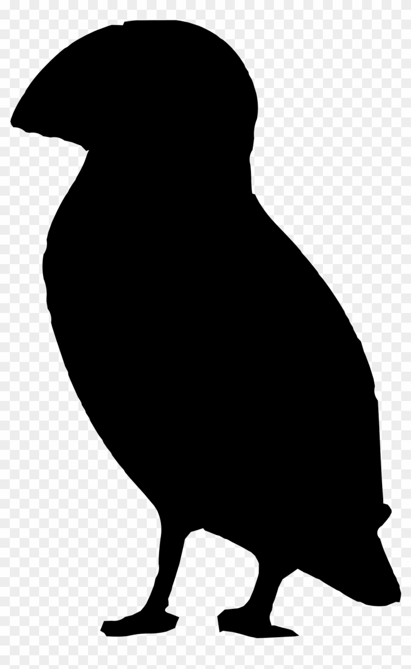 Puffin - Puffin Silhouette #974357