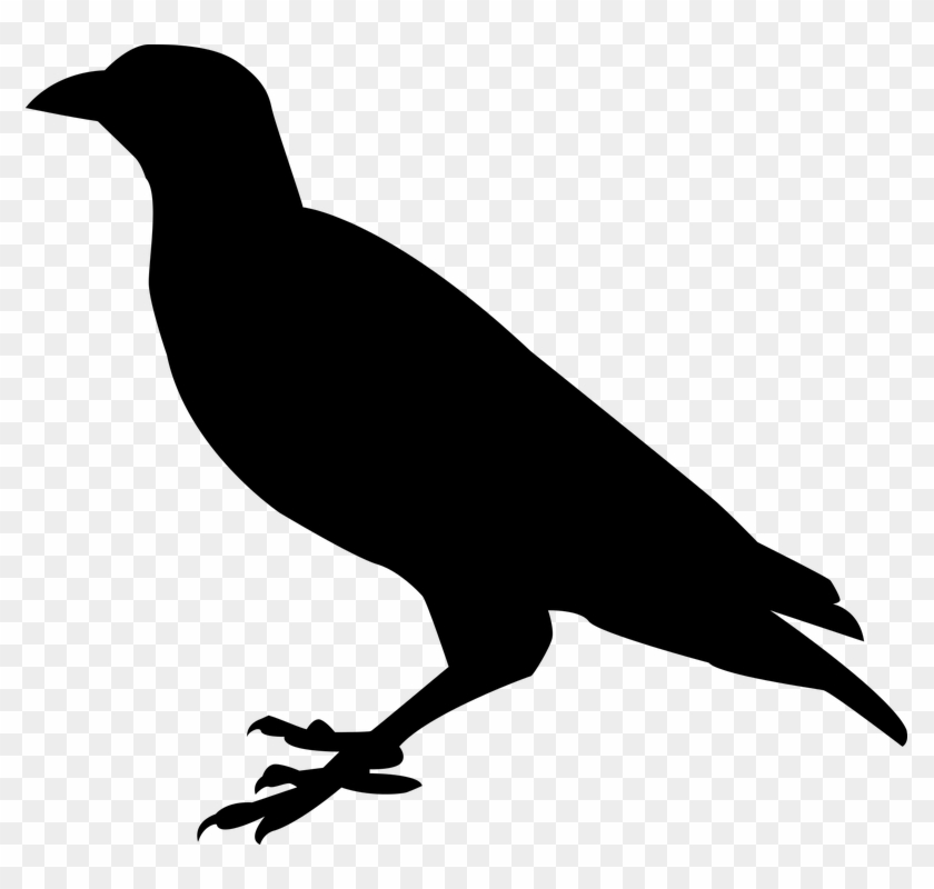 Free Photo Raven Raven Bird Crow Bird Sitting Black - Raven Silhouette Png #974361