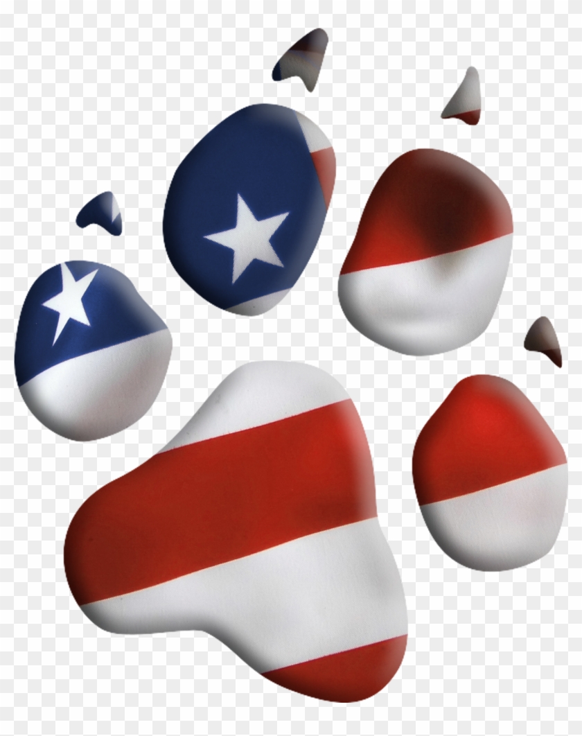 A Ptsd Service Dog Can Greatly Improve The Lives Of - A Ptsd Service Dog Can Greatly Improve The Lives Of #974373