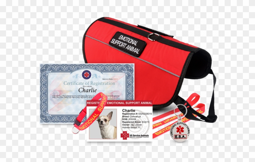 Dog - Products - Service Animal #974388