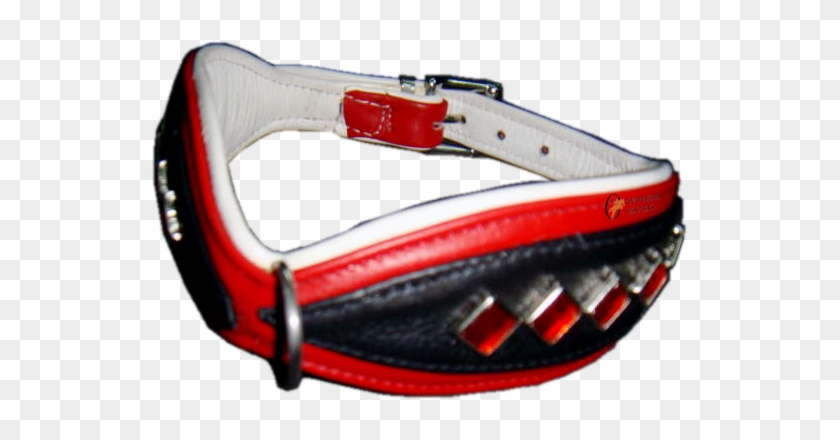 Service Provider Of Shaped Soft Dog Collar With Ornaments - Kanpur #974415