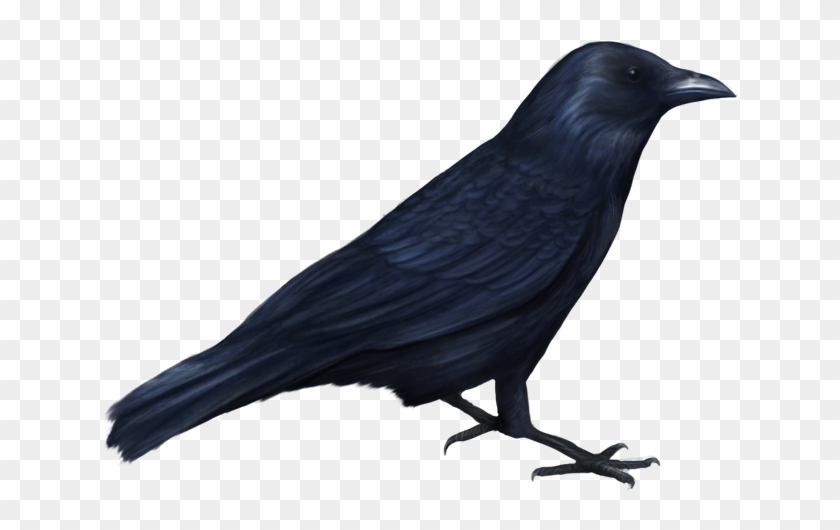 Bird-056 - Halloween Bird Png #974455