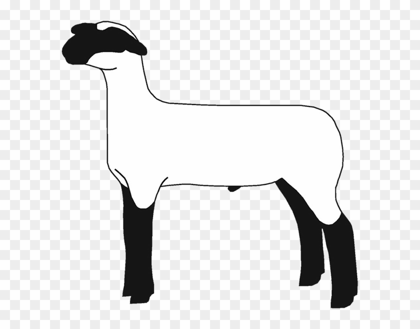 Lamb Clipart Club Lamb - Wasco Ffa #975270