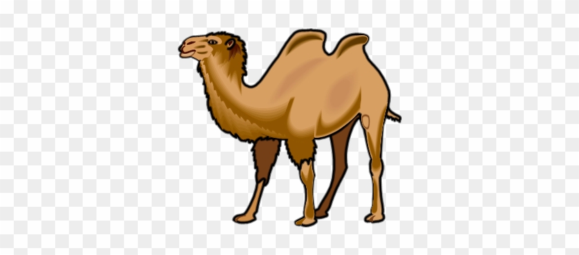 Related Bactrian Camel Clipart - Bactrian Camel #975419