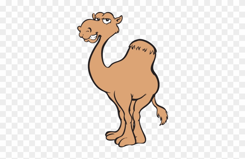 Happy Hump Day Gif #975420