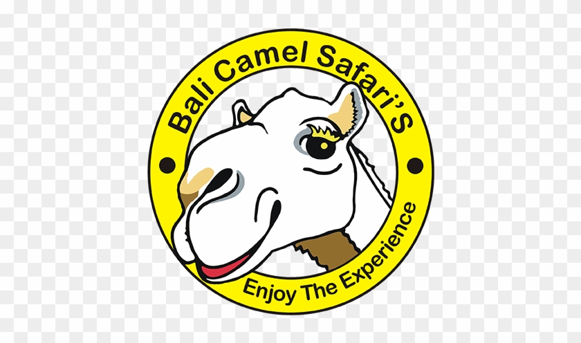 Bali Camel Safari #975457
