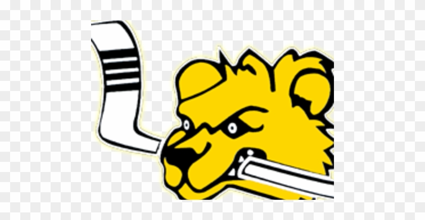 Brewins Youth Hockey - Brewins Youth Hockey #975720