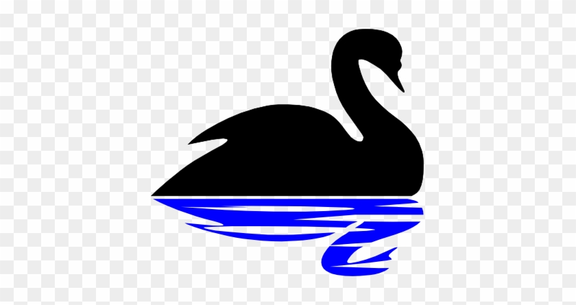 Whiteswan Pool And Spas - Black Swan #975750