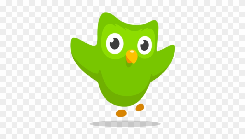 It Is A Green Owl Of An Unknown Species And Is Meant - Duolingo Icon #975809