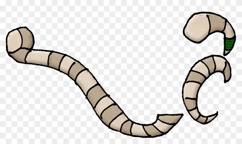 Worm Lock D - Worm Lock D #975829